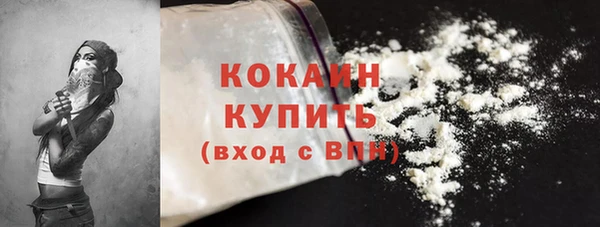 бошки Снежинск