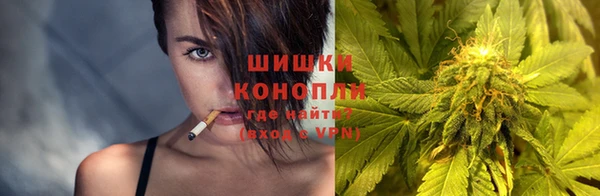 МДПВ Михайлов