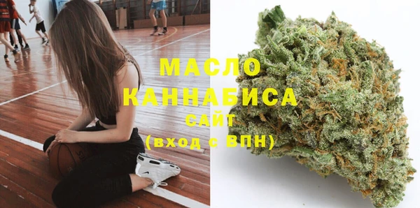 МДПВ Михайлов