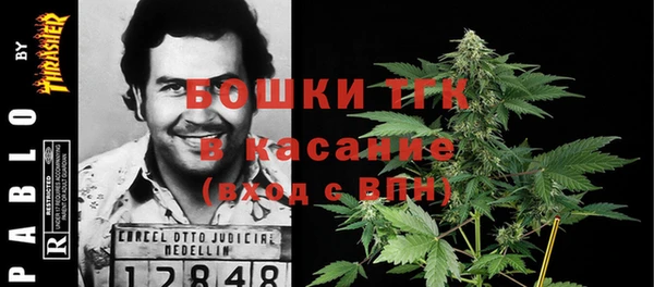МДПВ Михайлов