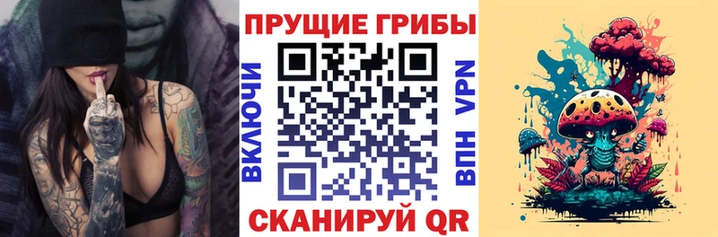 Галлюциногенные грибы Psilocybe  Райчихинск 
